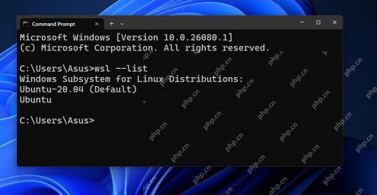 Windows 命令提示符中显示 WSL 发行版及默认项
