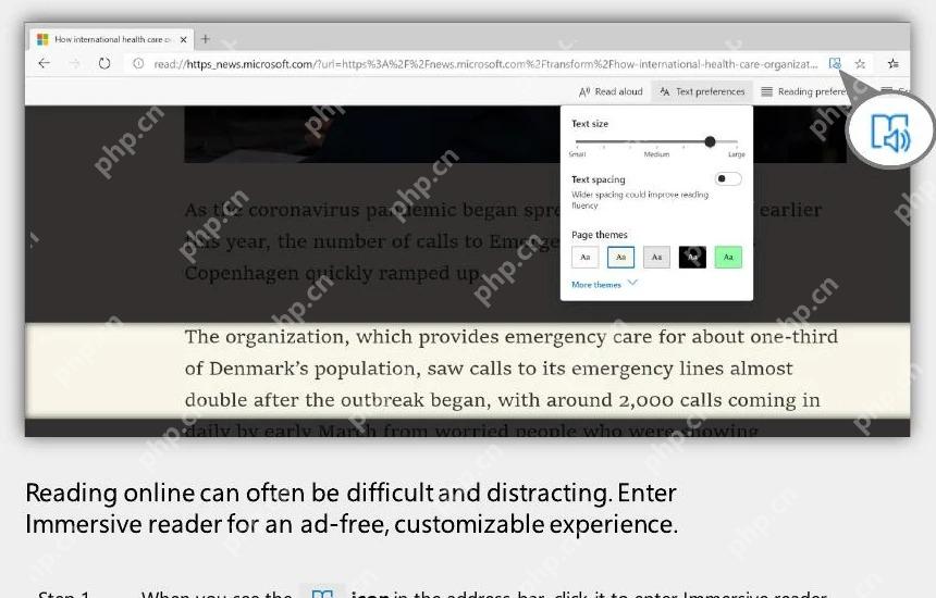 Microsoft Edge沉浸式阅读器界面