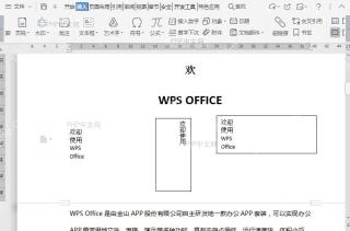 WPS插入特殊字符
