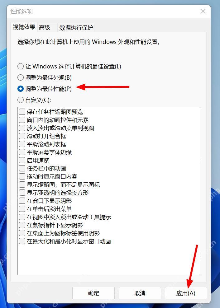 Windows 11 性能选项视觉效果中选择调整为最佳性能