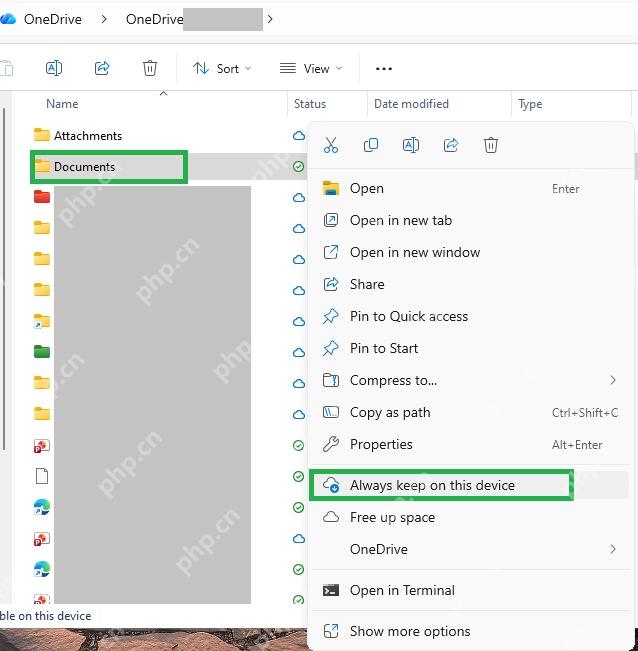 OneDrive 文件夹右键菜单里的 Always keep on this device,用于设置文件离线保留
