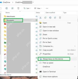 OneDrive 文件夹右键菜单里的 Always keep on this device，用于设置文件离线保留