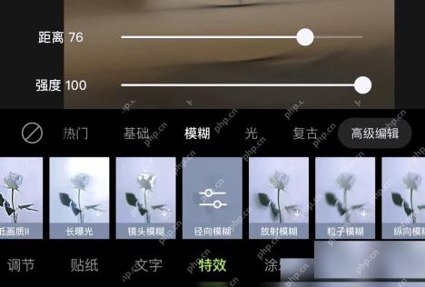 醒图特效面板中的模糊效果