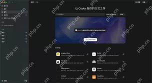 CodexApp怎么批量生成PPT初稿