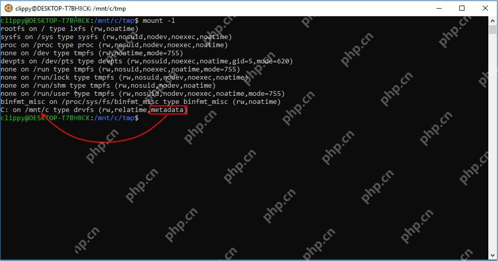 WSL mount 输出中显示 Windows 分区 metadata 选项