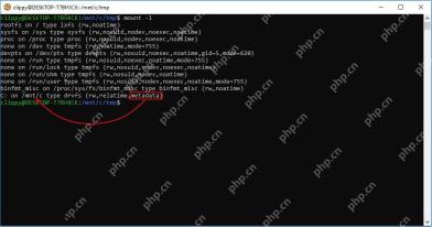 WSL mount 输出中显示 Windows 分区 metadata 选项
