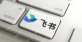 飞书文件上传速度慢如何处理? - php中文网