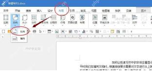 Word 布局选项卡中的文字方向菜单