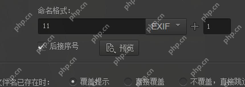输出文件名区域中的重命名选项