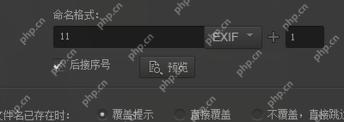 输出文件名区域中的重命名选项