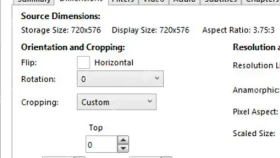 HandBrake Dimensions 页中 Custom 裁剪的上下左右数值框
