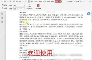 PDF如何设置PDF文档中的批注字号?结果检查