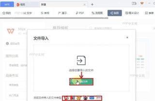 WPS脑图文件导入窗口中的添加文件按钮和支持格式