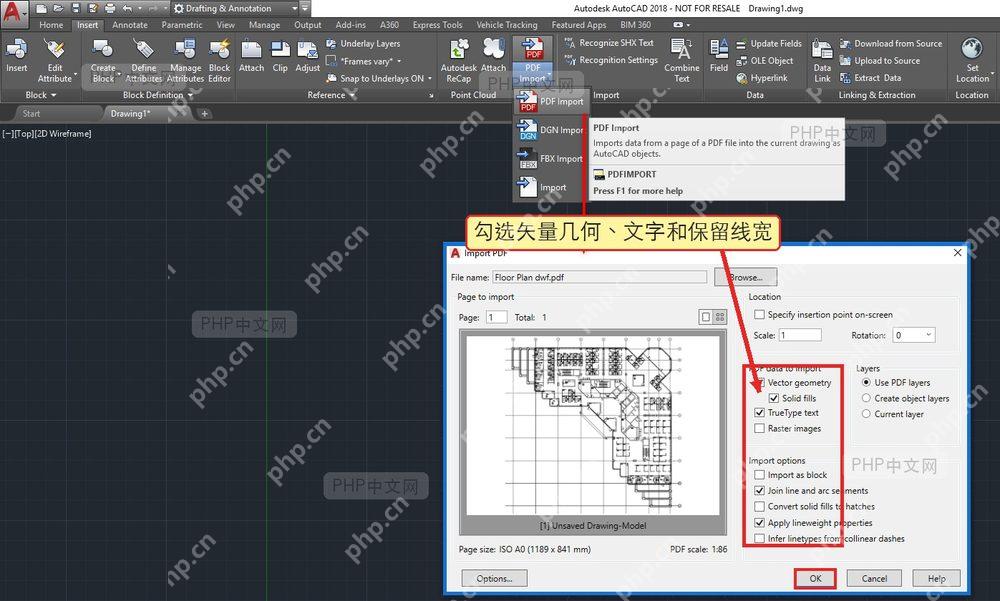 AutoCAD PDF Import 对话框中的矢量几何文字和线宽选项