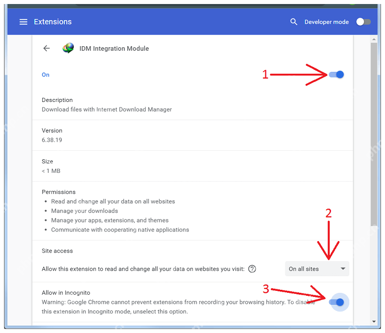 Chrome Windows IDM Integration Module 详情页,对应定位异常扩展。