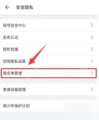 哔哩哔哩安全隐私页里的黑名单管理入口