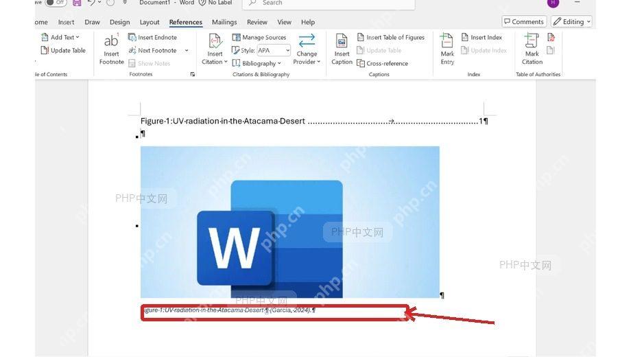Word 文档中图片下方已经生成 Fig 题注并显示确定按钮,服务于确认题注结果步骤