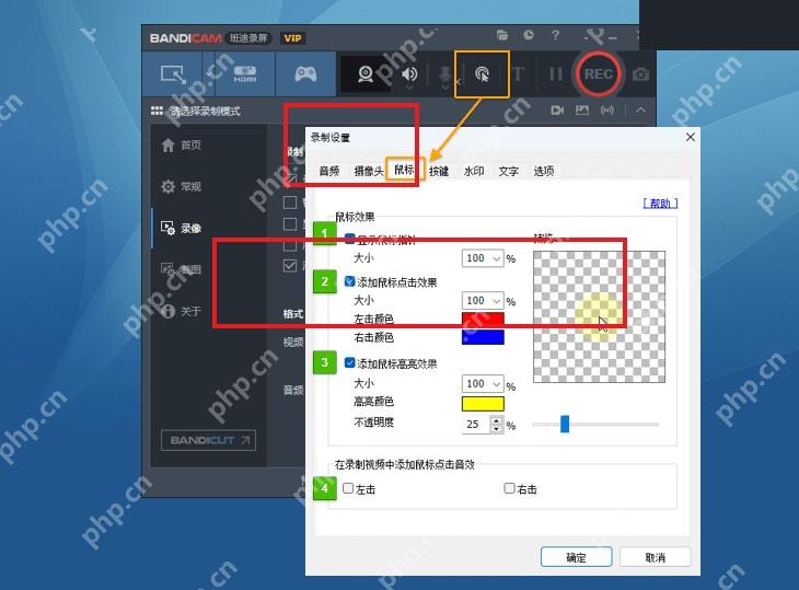 Bandicam Windows 鼠标效果设置页红框标出鼠标选项和效果区域