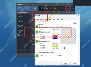 Bandicam Windows 鼠标效果设置页红框标出鼠标选项和效果区域