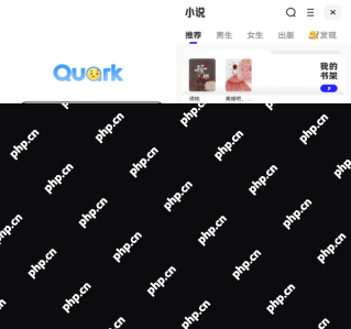 夸克小说频道入口和书架页面