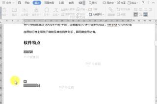 WPS如何保护文档窗体?结果检查