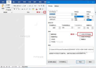 Word字体对话框中勾选小型大写字母选项