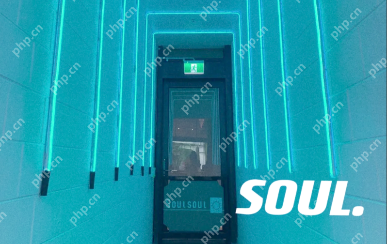 Soul 怎么设置聊天背景?Soul 设置聊天背景指南 - php中文网