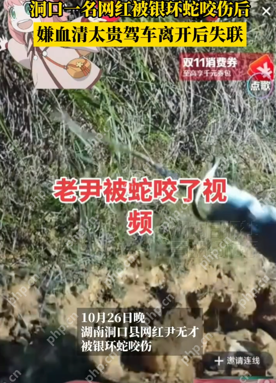网红被银环蛇咬嫌血清贵离去后失联 好友回应:目前还没有下落仍在搜寻中 - php中文网
