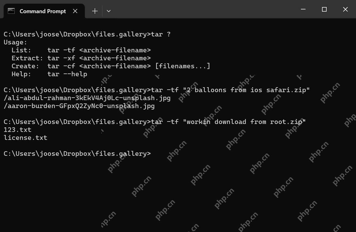Windows 命令提示符运行 tar -tf 列出 ZIP 归档内部文件
