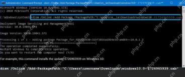 管理员命令提示符中使用 DISM Add-Package 安装 CAB 更新包