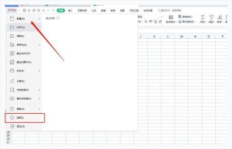 WPS 表格文件菜单中标出选项入口，服务于打开设置面板步骤