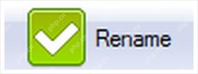 ReNamer 的 Rename 按钮用于最终执行批量重命名。