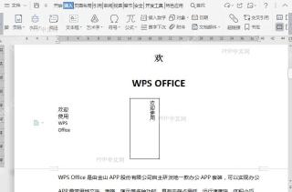 WPS如何在文档中插入竖向文本框?结果检查