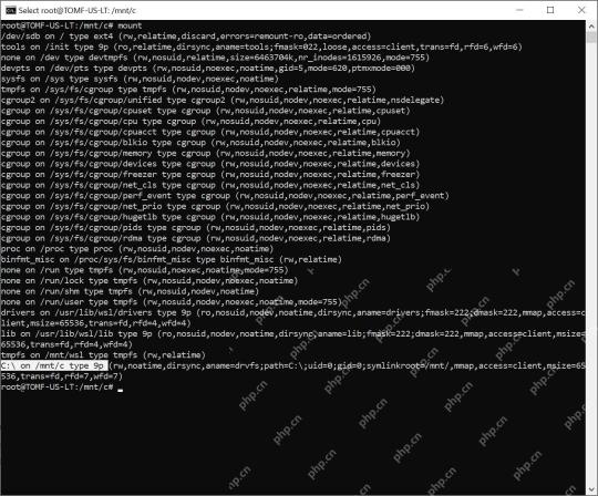 WSL 终端查看 Windows C 盘在 mnt c 下的挂载信息