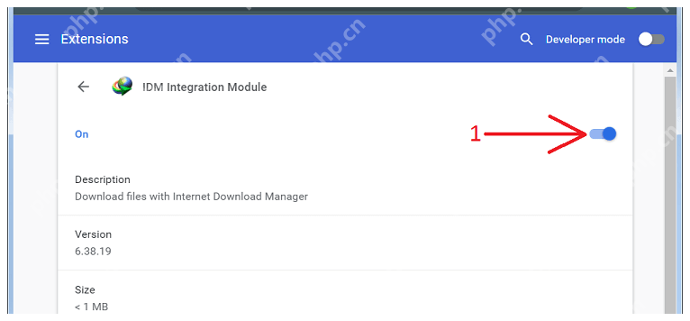 Chrome Windows IDM Integration Module 顶部和权限说明,对应先确认扩展能读取网页。