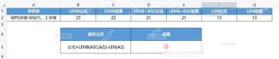 在 WPS 表格中用 LENB 减 LEN 统计中文字符数