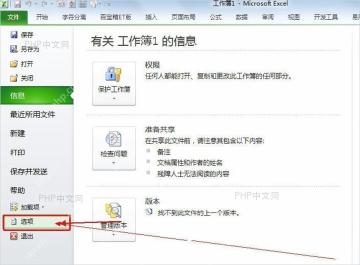 Excel文件后台页面中选择选项入口