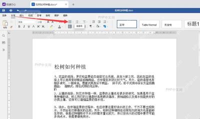 Word如何添加着重号？详细方法