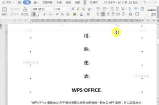 WPS如何显示/隐藏段落标记？结果检查