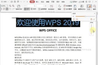 如何调整PDF朗读功能的语速?结果检查