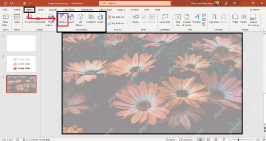 PowerPoint中从插入选项卡选择形状准备制作图片蒙版
