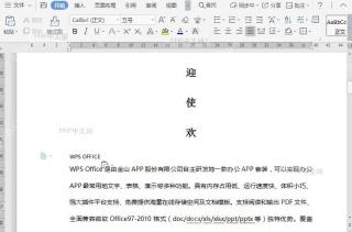 WPS如何对文档内容进行选择性粘贴?结果检查