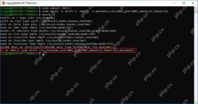 WSL 使用 metadata uid gid 选项挂载 Windows C 盘