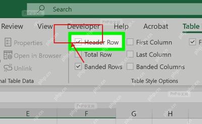 Excel 表设计选项卡中取消 Header Row 标题行复选框