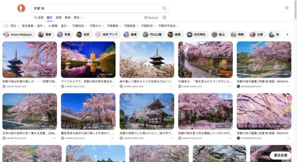 图片结果及尺寸颜色筛选