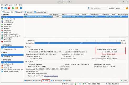 qBittorrent 任务详情区显示 Peers 标签和连接信息
