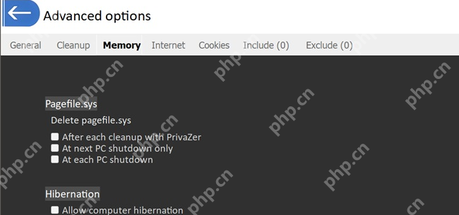 PrivaZer 清理选项中选择关机阶段处理