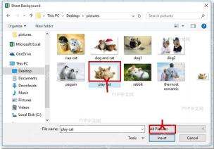 Excel 工作表背景窗口中选中图片并点击插入