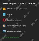 Windows 11 打开 appx 安装包时出现选择应用窗口