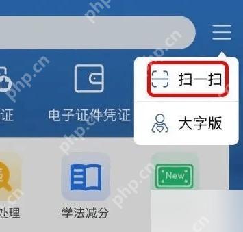 交管12123手机app怎么使用大字版模式第3步操作界面